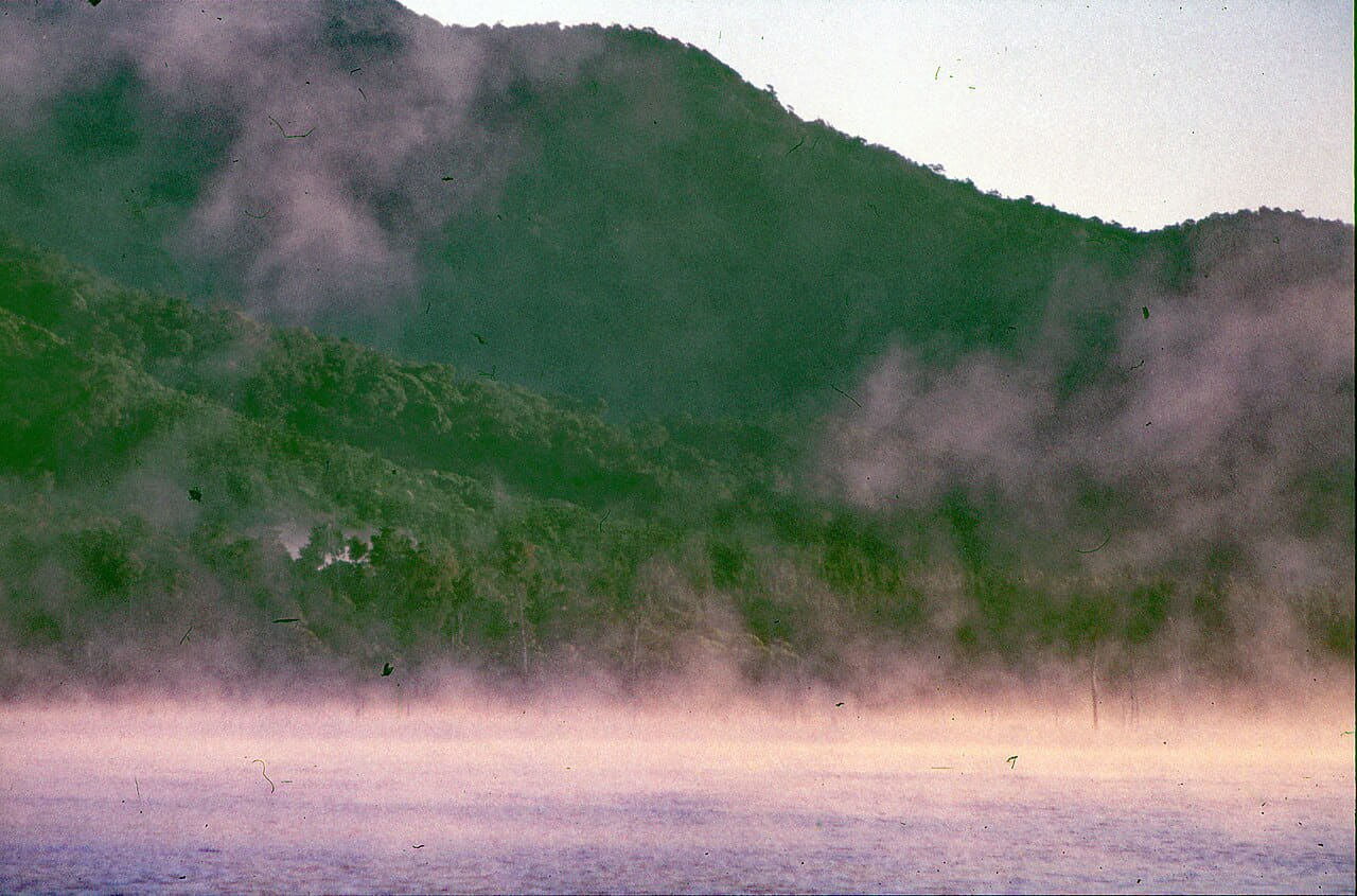 Fondo de pantalla Morning mist Lake Tinaroo Tinaroo State Forest 0015 en tonos charcoal y olive, Full HD, formato 4:3 para móvil