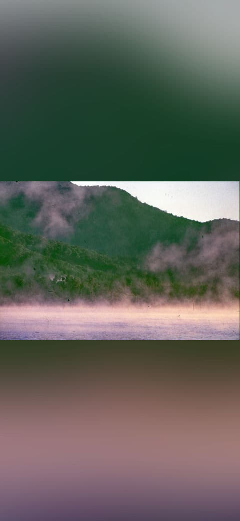Morning mist Lake Tinaroo Tinaroo State Forest 0015 wallpaper in charcoal and olive tones, Full HD, 4:3 format for phone