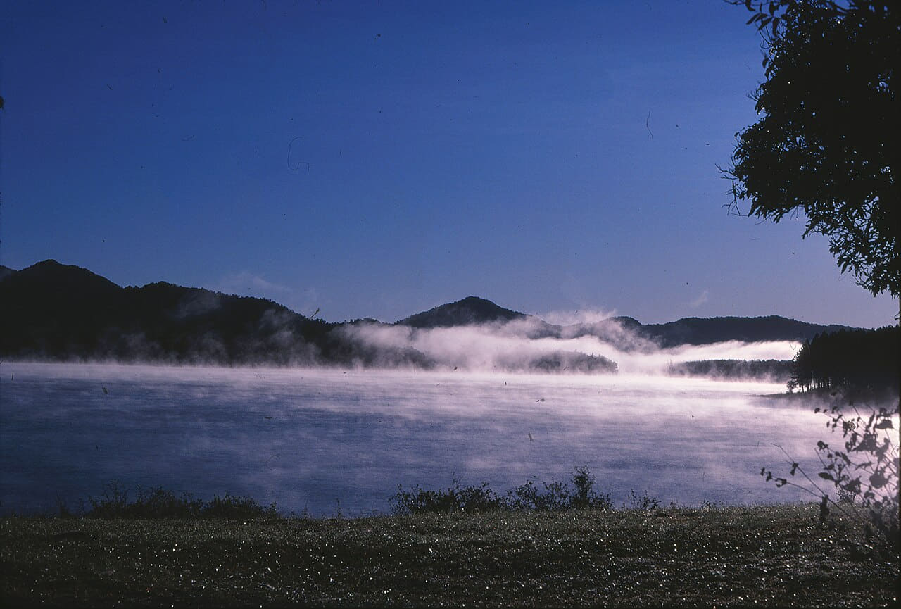 Fondo de pantalla Morning mist Lake Tinaroo Tinaroo State Forest 0075 en tonos near-black y steel blue, Full HD, formato 4:3 para móvil