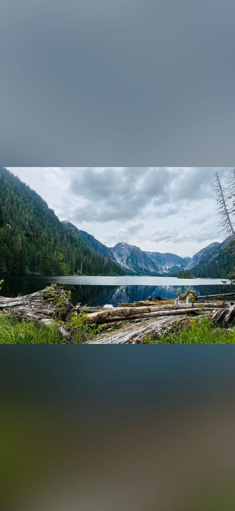 Nooya Lake im Ketchikan Misty Fjords Ranger District wallpaper in pale sky and sage green tones, Full HD, 4:3 format for phone