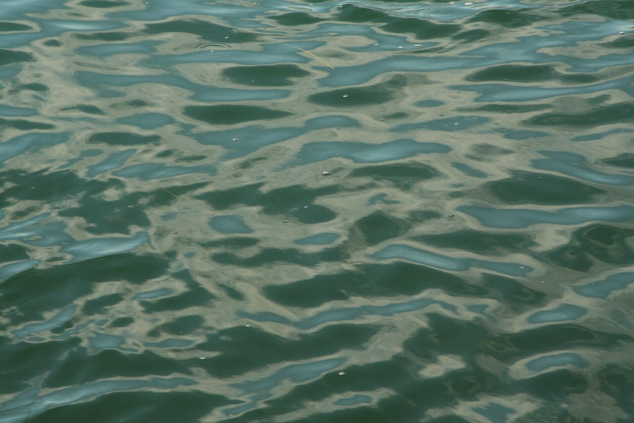 Ocean water surface texture 2 - Martha's Vineyard wallpaper in slate and slate tones, Full HD, 4:3 format for phone