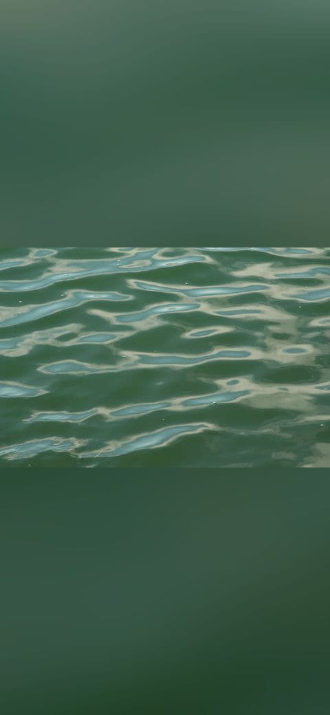 Fondo de pantalla Ocean water surface texture 4 - Martha's Vineyard en tonos deep green y steel blue, Full HD, formato 4:3 para móvil