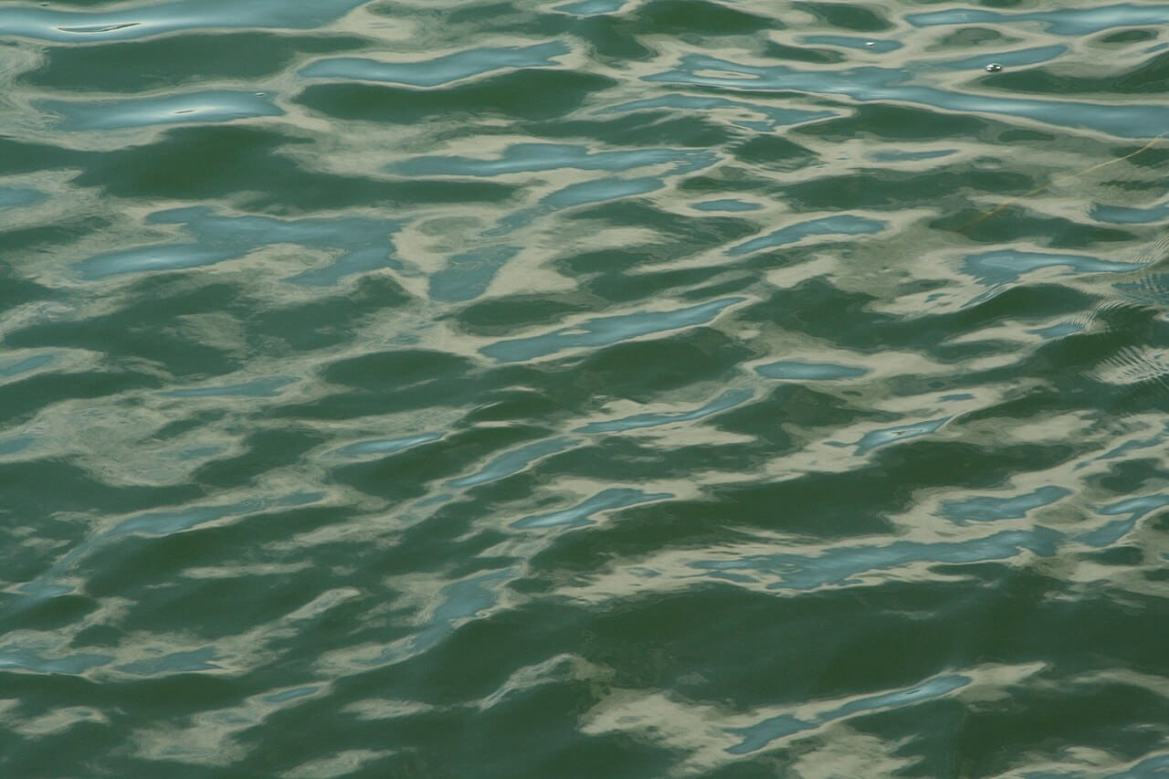 Ocean water surface texture 5 - Martha's Vineyard wallpaper in charcoal and olive tones, Full HD, 4:3 format for phone
