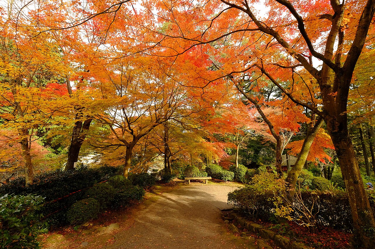 Fondo de pantalla Path Under Autumn Leaves en tonos casi negro y carbón, Full HD, formato 4:3 para PC