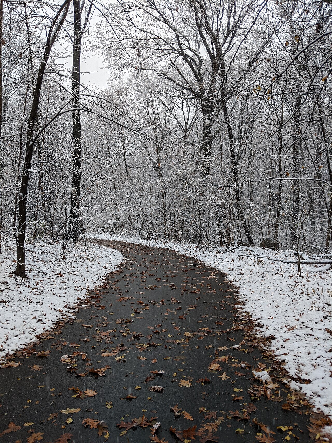 Fondo de pantalla Path with snow and autumn leaves Prospect Park en tonos pizarra y carbón, Full HD, formato 3:4 para PC