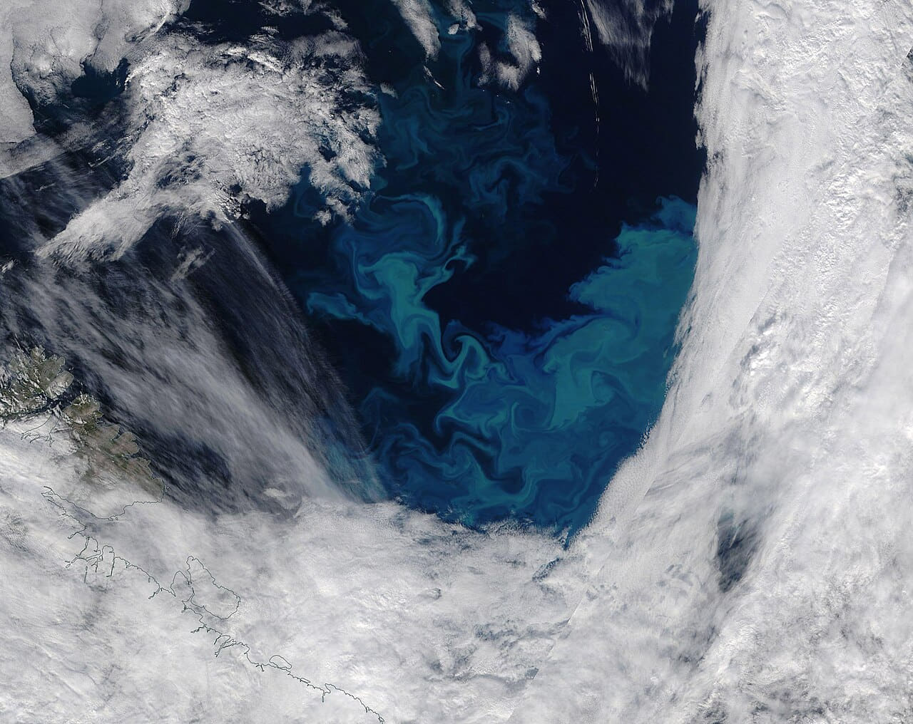 Fondo de pantalla Phytoplankton Bloom in the Barents Sea en tonos sand y lavender, Full HD, formato 4:3 para móvil
