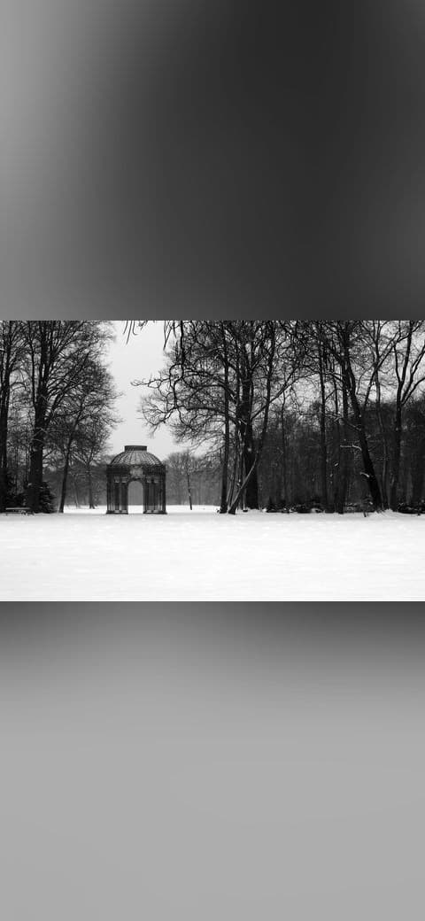Potsdam Park bw amk wallpaper in cream and near-black tones, Full HD, 4:3 format for phone