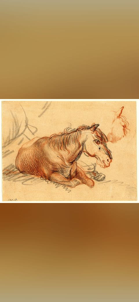 Fondo de pantalla Rembrandt - Attributed to - A horse lying down;… en tonos blush y blush, Full HD, formato 4:3 para móvil