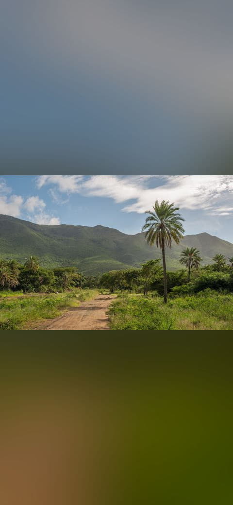 San Juan Valley wallpaper in olive and olive tones, Full HD, 4:3 format for desktop