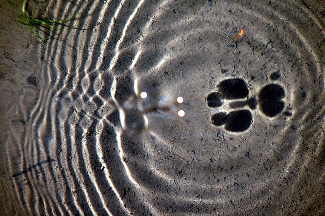 Surface waves and water striders wallpaper in olive and charcoal tones, Full HD, 4:3 format for phone