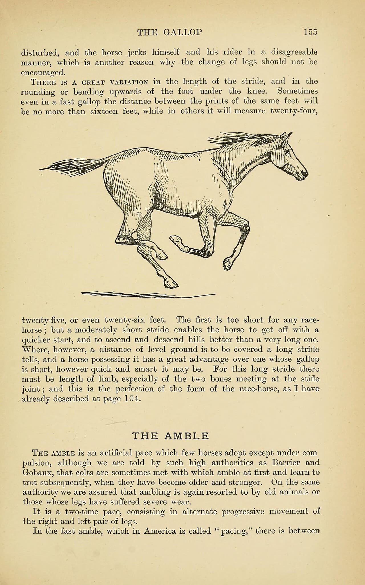 Fondo de pantalla The horse in the stable and the field 4 en tonos blush y blush, Full HD, formato 9:16 para móvil