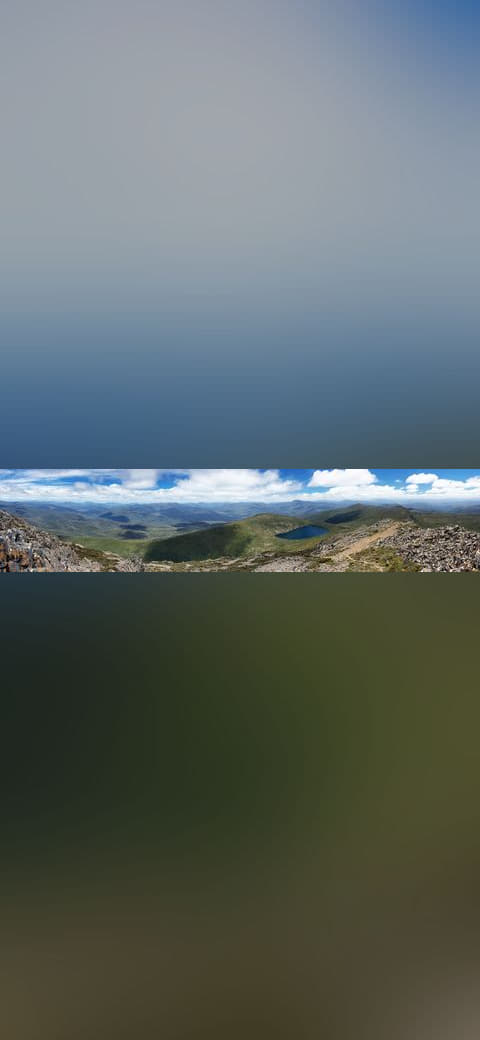 View West of Hartz Mountain wallpaper in olive and olive tones, Full HD, 21:9 format for desktop