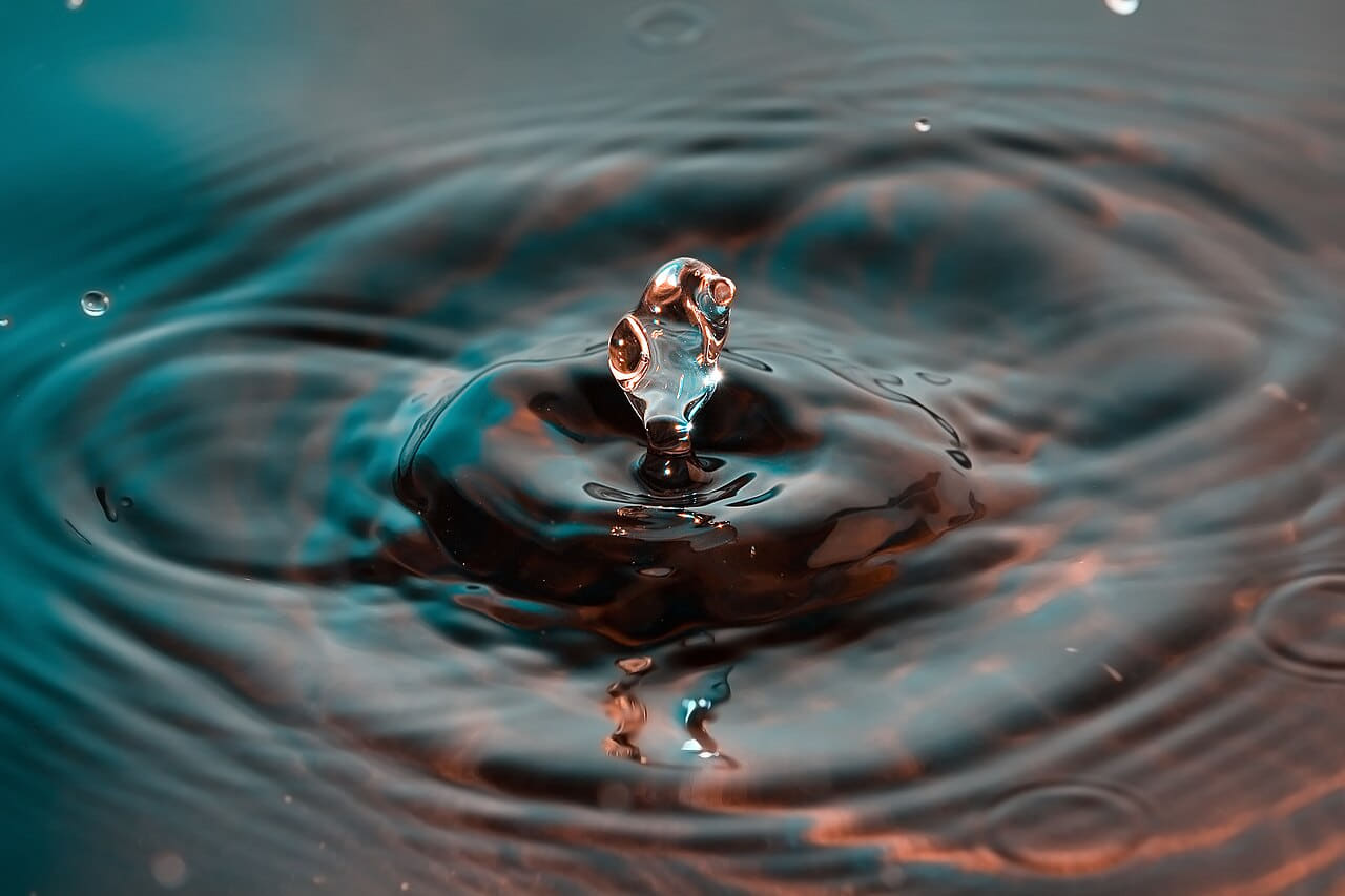 Water Dolphin wallpaper in olive and olive tones, Full HD, 4:3 format for phone