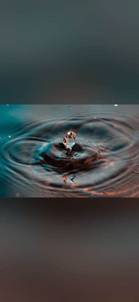 Fondo de pantalla Water Dolphin en tonos olive y olive, Full HD, formato 4:3 para móvil