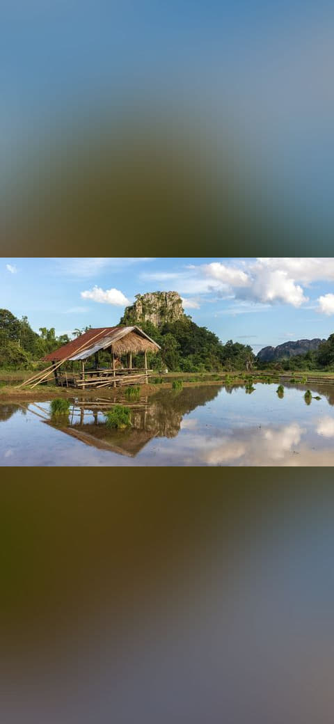 Water reflection of mountains and hut in a paddy… wallpaper in sky blue and charcoal tones, Full HD, 16:9 format for phone