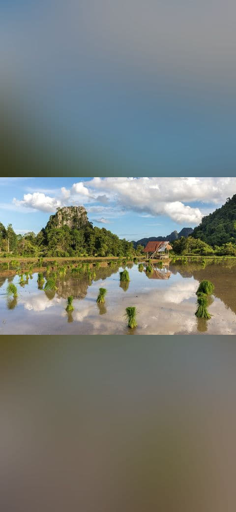 Water reflection of mountains, hut, green rice… wallpaper in olive and sky blue tones, Full HD, 4:3 format for phone