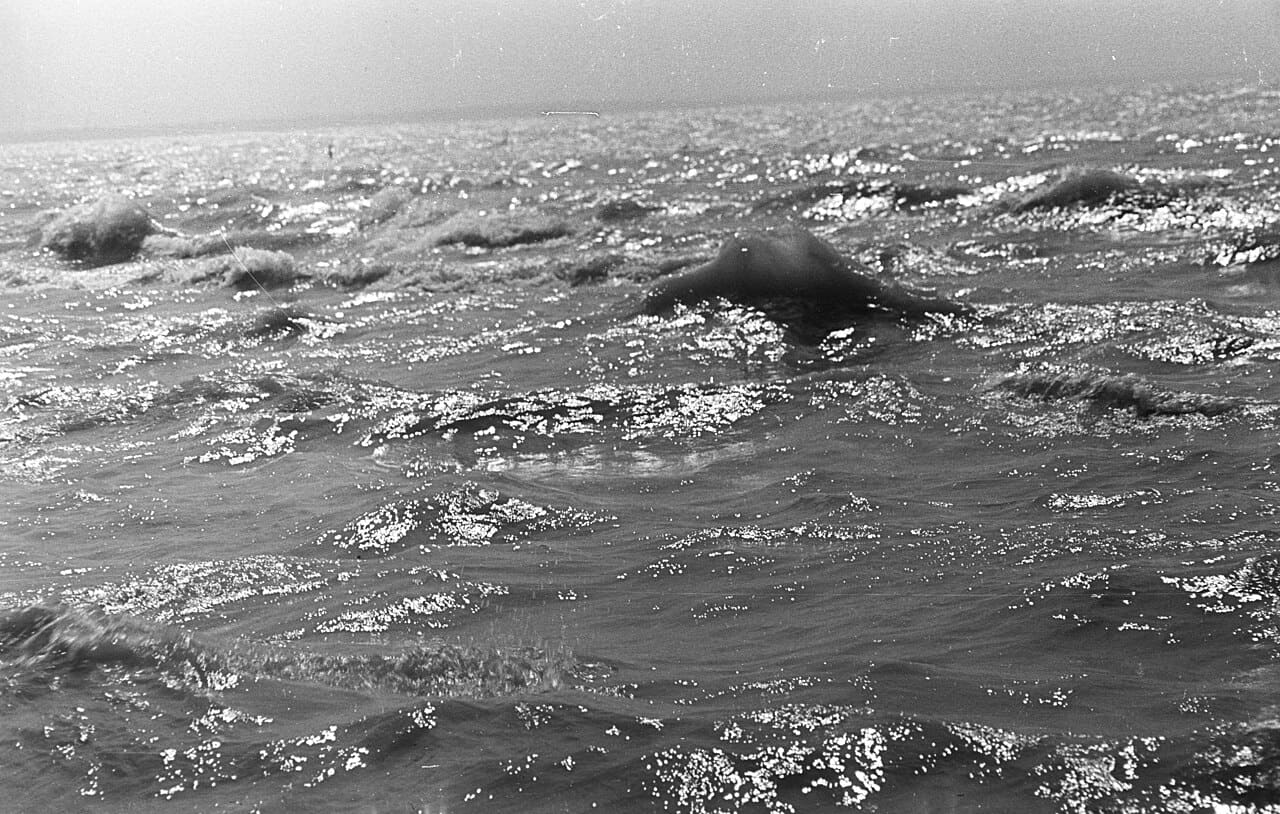 Water surface, wave Fortepan 61024 wallpaper in olive and slate tones, Full HD, 16:9 format for phone