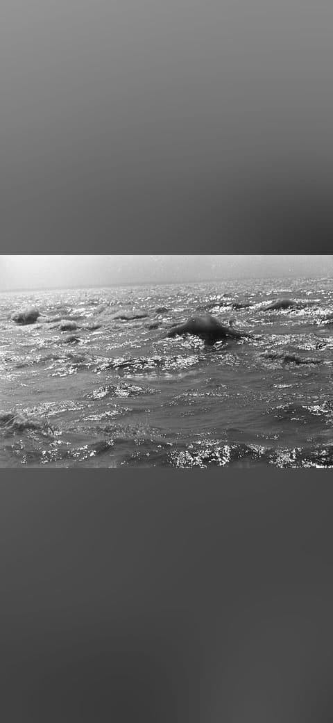 Fondo de pantalla Water surface, wave Fortepan 61024 en tonos olive y slate, Full HD, formato 16:9 para móvil