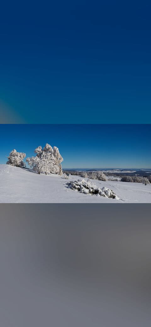 Winter auf dem Melpertser Rasenberg wallpaper in sage green and deep green tones, Full HD, 16:9 format for desktop