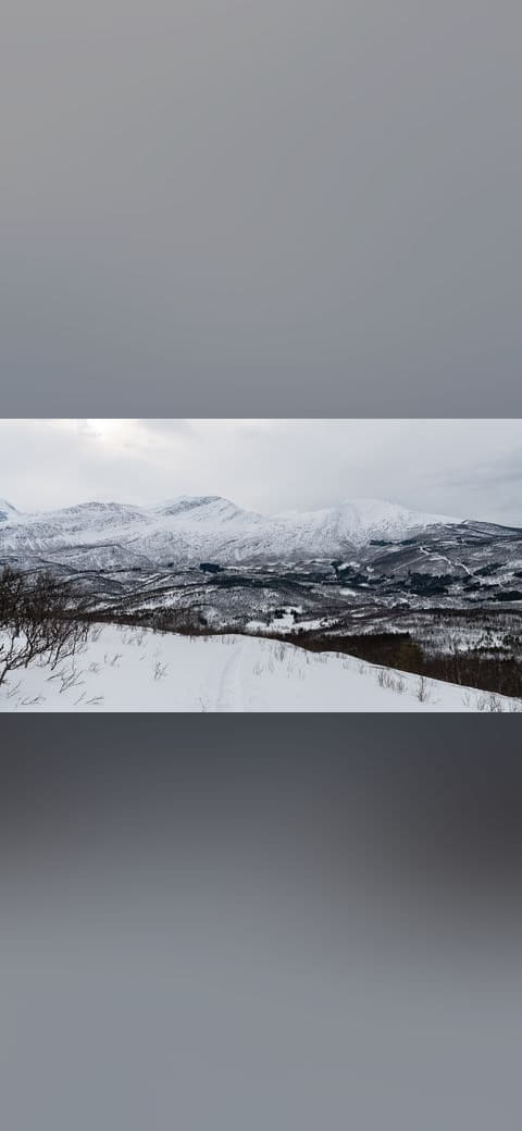 Winter landscape east of Tövik, Norway wallpaper in mint and lavender tones, Full HD, 16:9 format for desktop