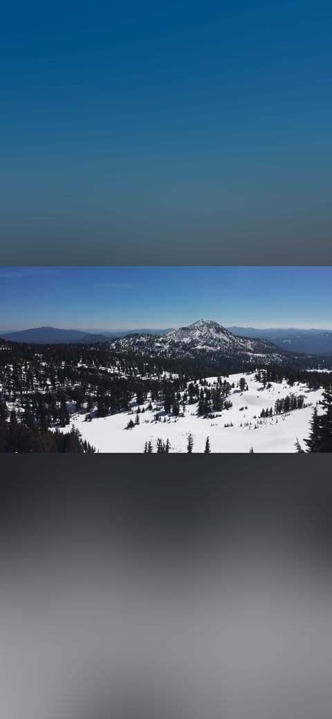 Winter landscape wallpaper in near-black and lavender tones, Full HD, 16:9 format for desktop