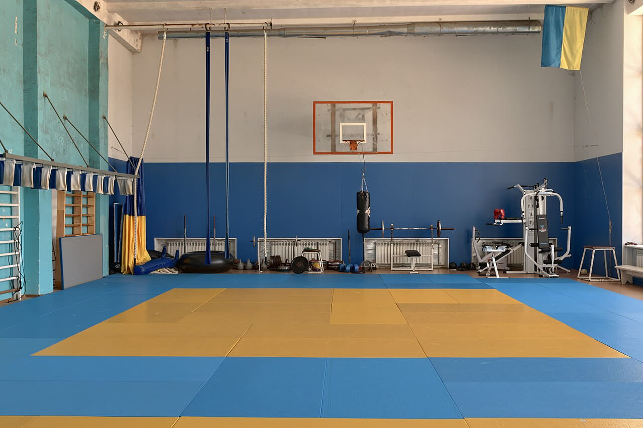 Wrestling gym 10 wallpaper in sage green and steel blue tones, Full HD, 4:3 format for phone