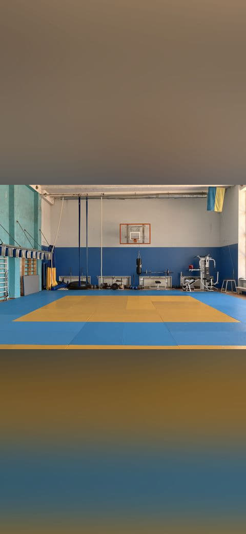 Wrestling gym 10 wallpaper in sage green and steel blue tones, Full HD, 4:3 format for phone