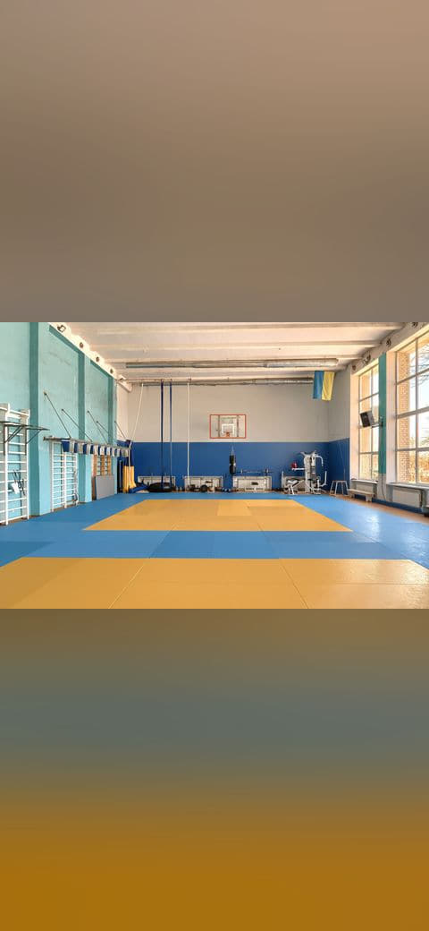 Wrestling gym 11 wallpaper in sand and blush tones, Full HD, 4:3 format for phone