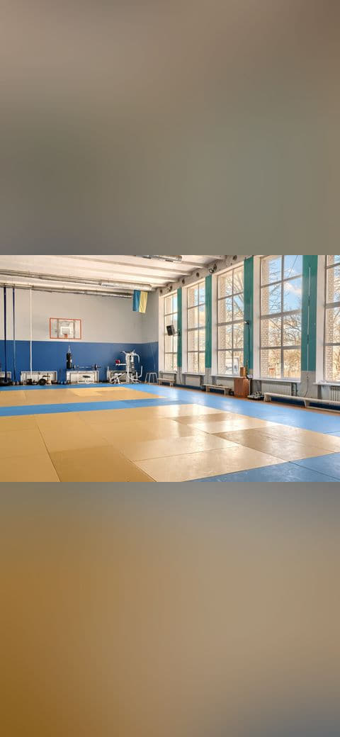 Wrestling gym 15 wallpaper in blush and sand tones, Full HD, 4:3 format for phone