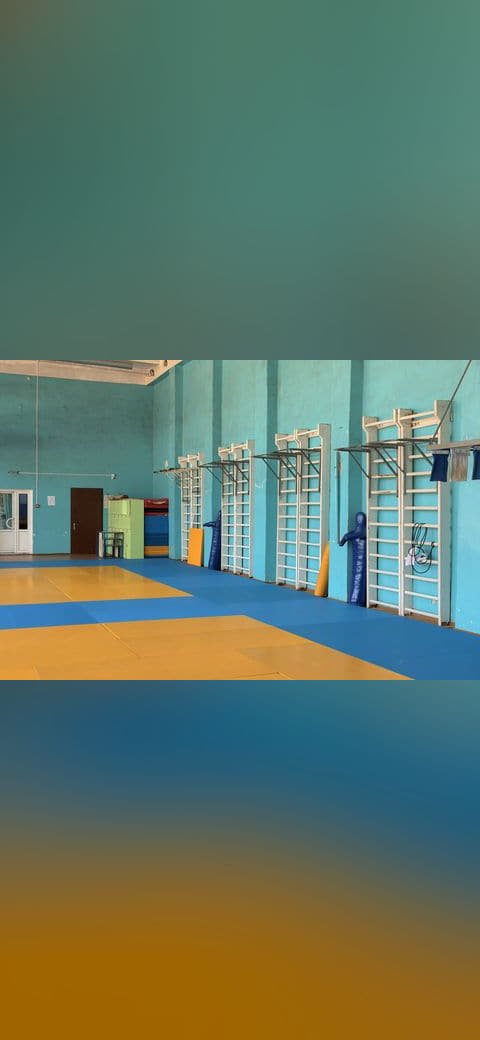Wrestling gym 2 wallpaper in sand and slate tones, Full HD, 4:3 format for phone