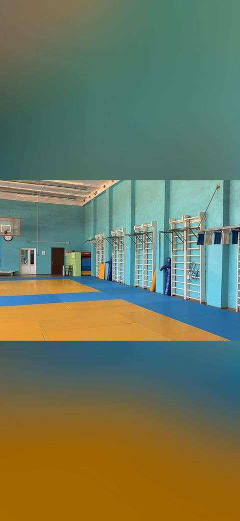 Wrestling gym 3 wallpaper in sand and slate tones, Full HD, 4:3 format for phone