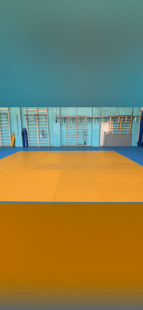 Wrestling gym 6 wallpaper in sand and amber tones, Full HD, 4:3 format for phone