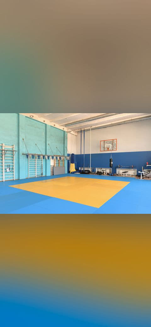 Wrestling gym 8 wallpaper in amber and sky blue tones, Full HD, 4:3 format for phone