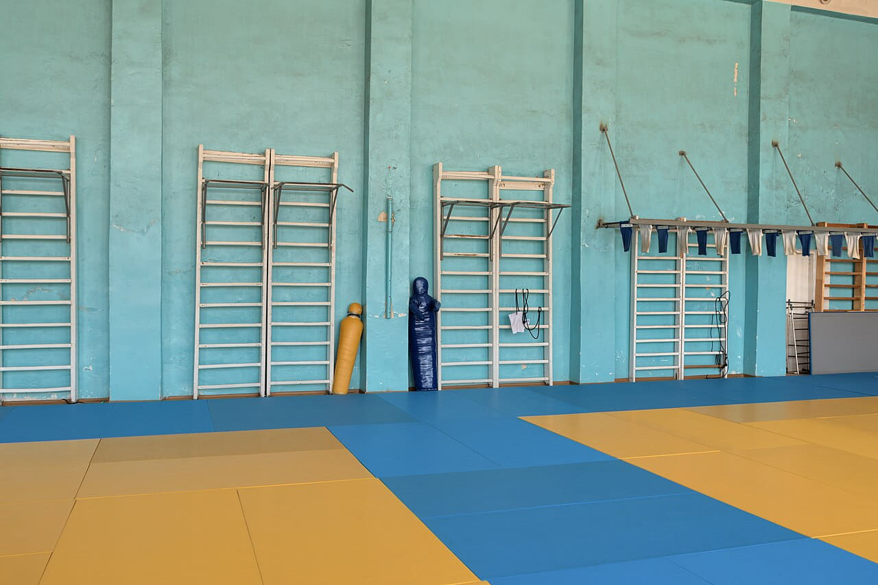 Wrestling gym 9 wallpaper in sage green and sage green tones, Full HD, 4:3 format for phone